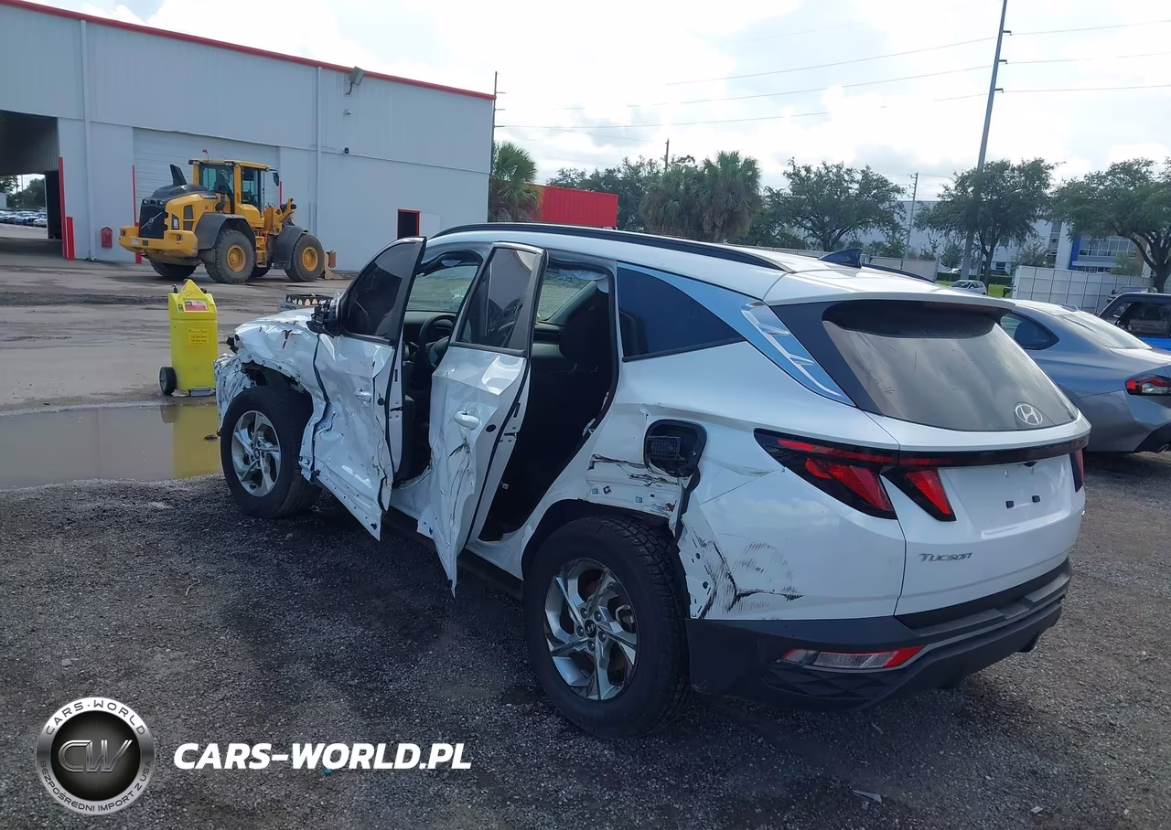 2024 Hyundai Tucson Sel VIN:5NMJBCDEXRH428113 - 3