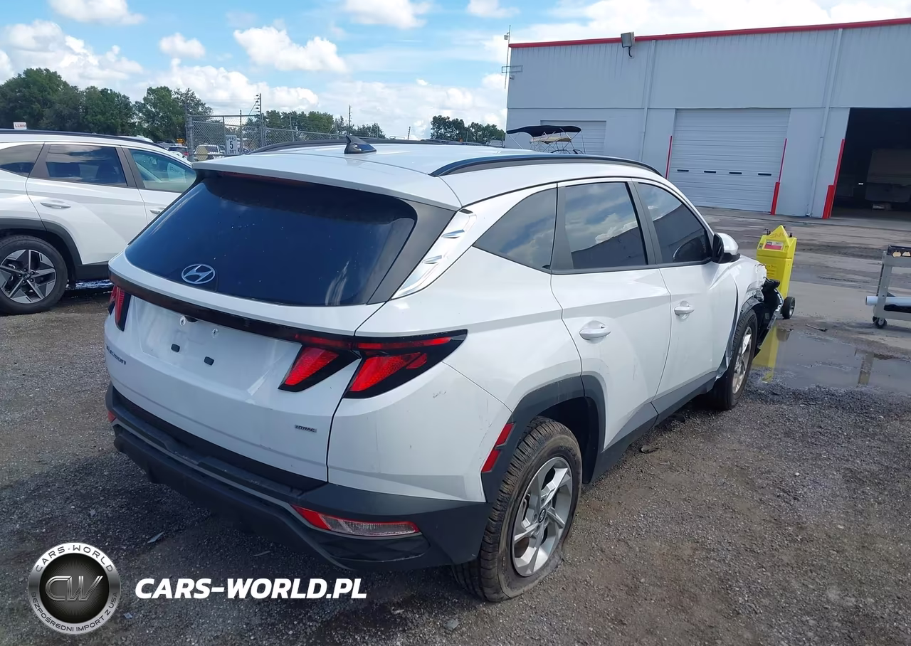 2024 Hyundai Tucson Sel VIN:5NMJBCDEXRH428113 - 4