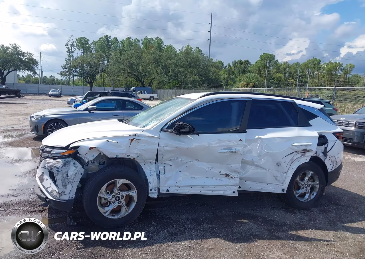 2024 Hyundai Tucson Sel VIN:5NMJBCDEXRH428113 - 6