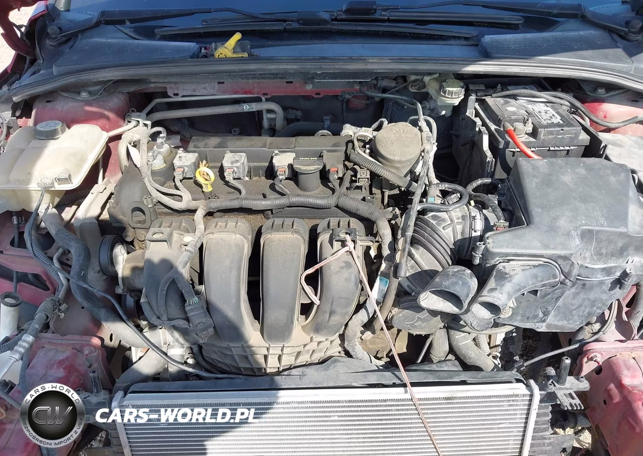 2013 Ford Focus Se VIN:1FADP3F24DL352497 - 10