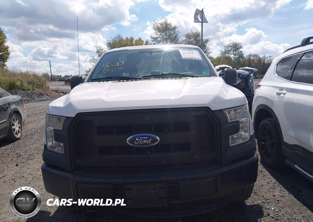 2015 Ford F-150 Xl VIN:1FTEX1E87FFC04323 - 12