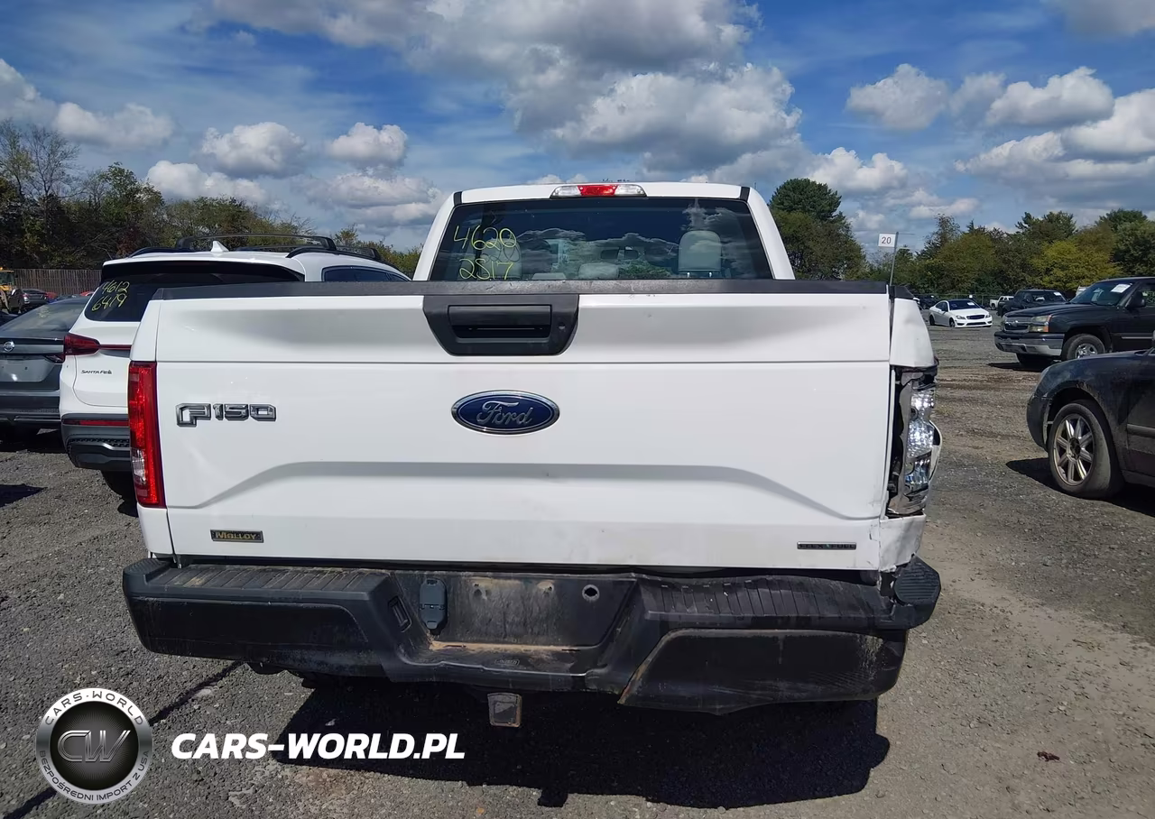 2015 Ford F-150 Xl VIN:1FTEX1E87FFC04323 - 16