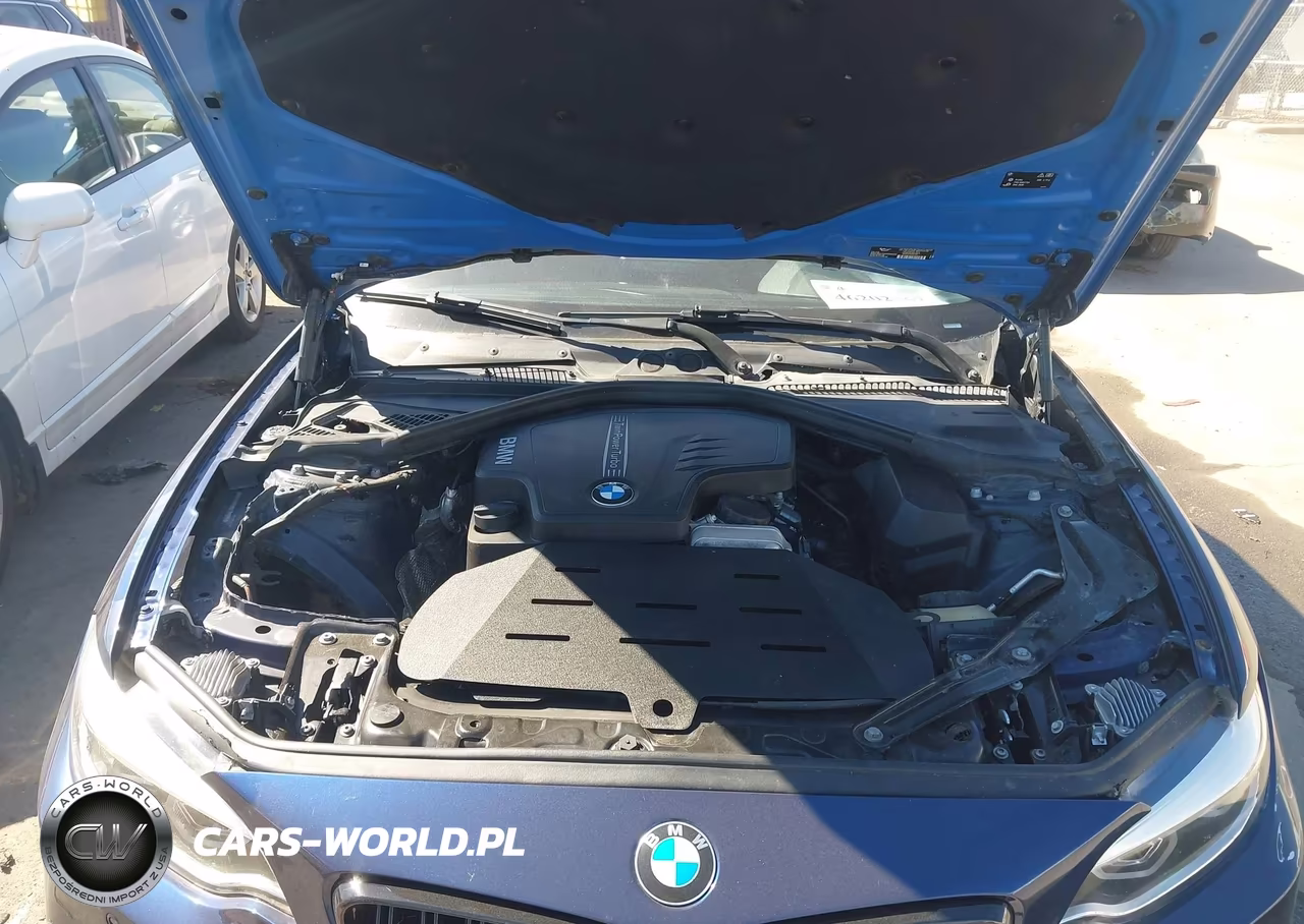 2016 BMW 228I xDrive VIN:WBA1L9C50GV324969 - 10
