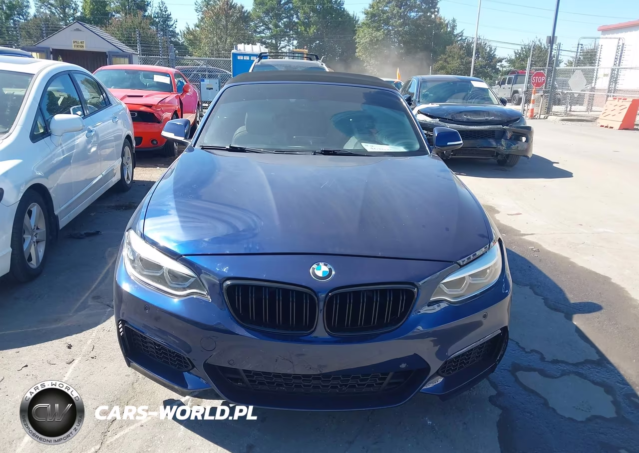 2016 BMW 228I xDrive VIN:WBA1L9C50GV324969 - 12