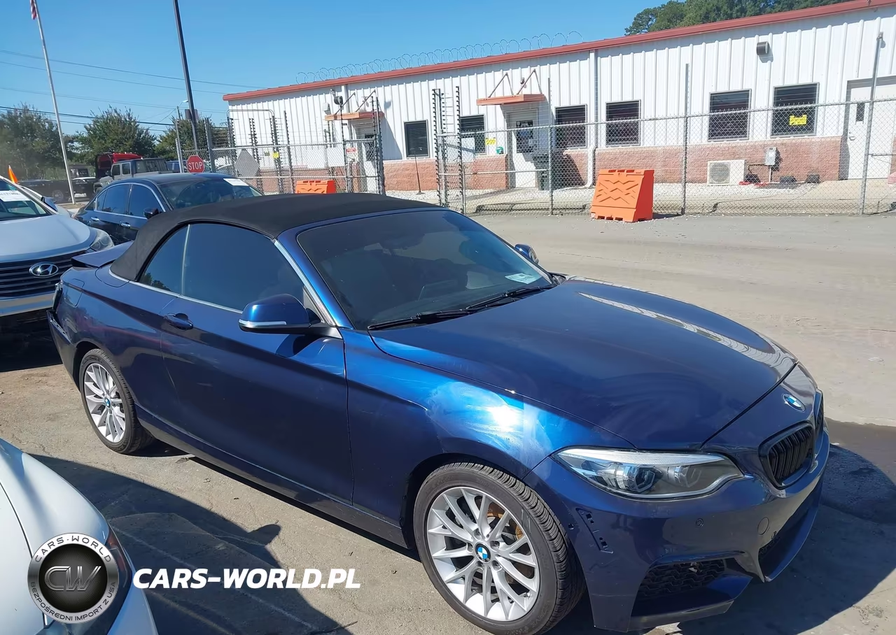 2016 BMW 228I xDrive VIN:WBA1L9C50GV324969 - 13