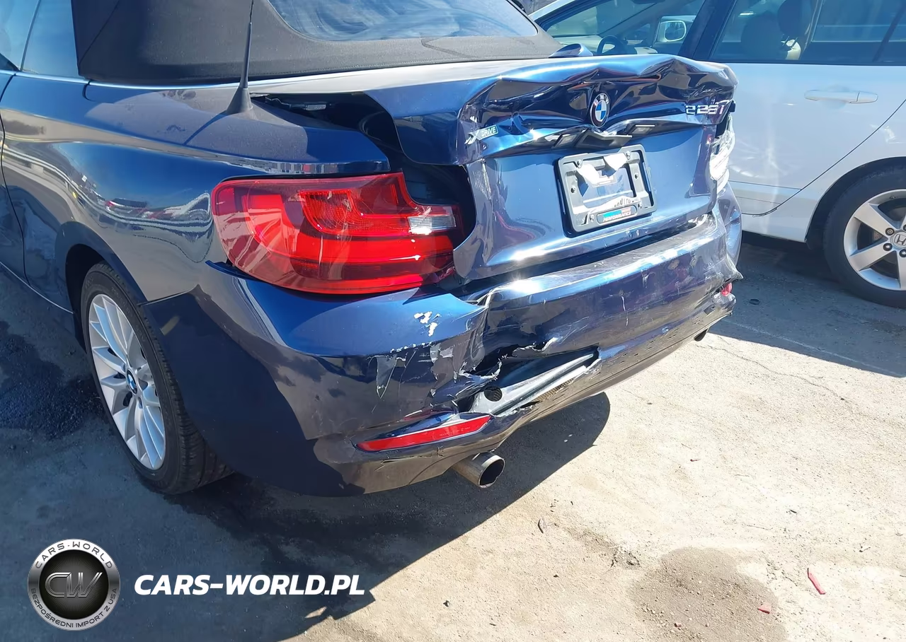 2016 BMW 228I xDrive VIN:WBA1L9C50GV324969 - 17