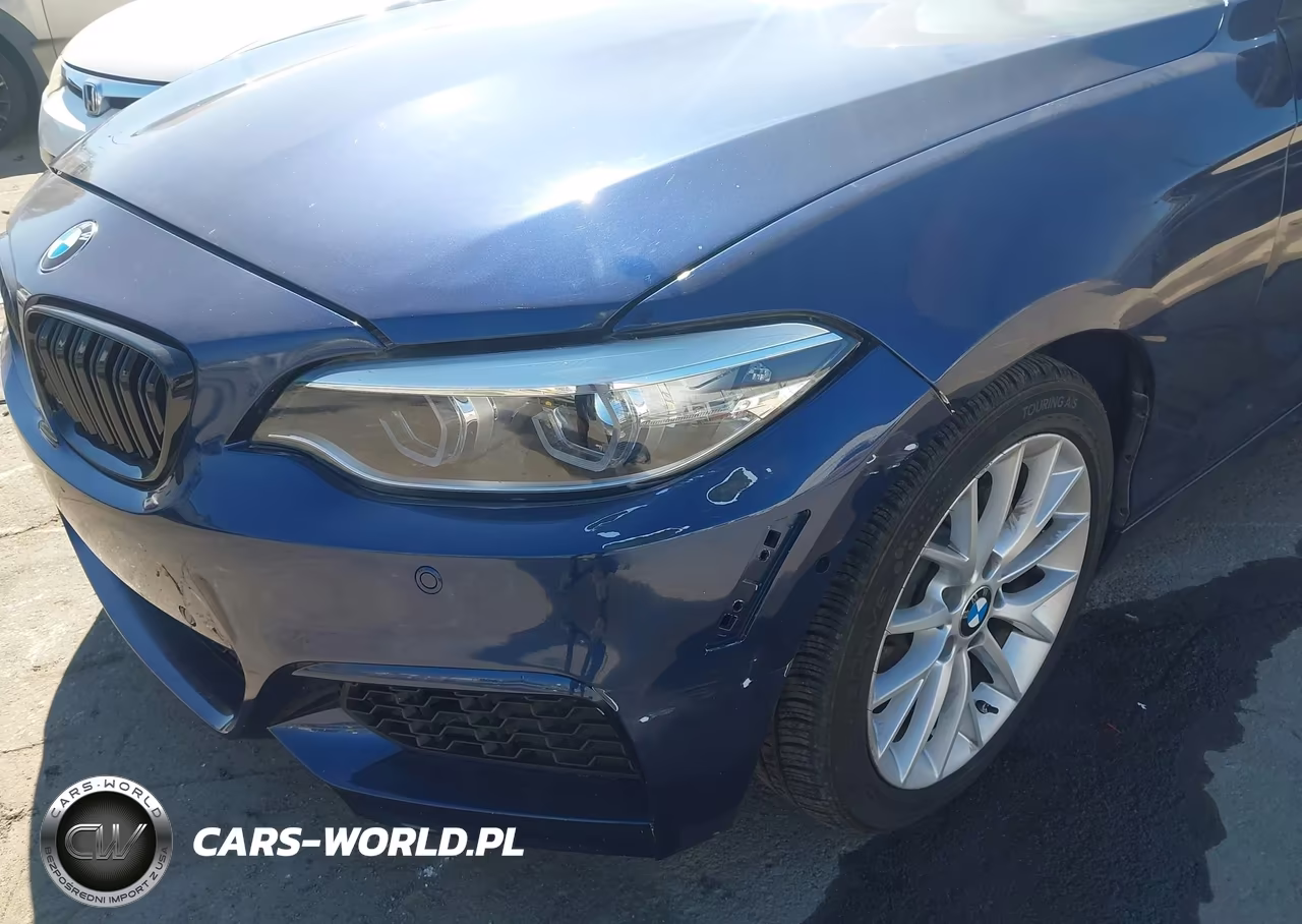 2016 BMW 228I xDrive VIN:WBA1L9C50GV324969 - 18