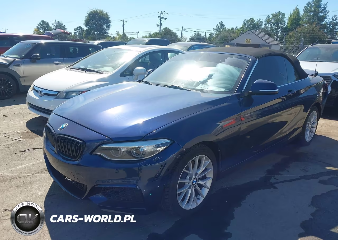2016 BMW 228I xDrive VIN:WBA1L9C50GV324969 - 2