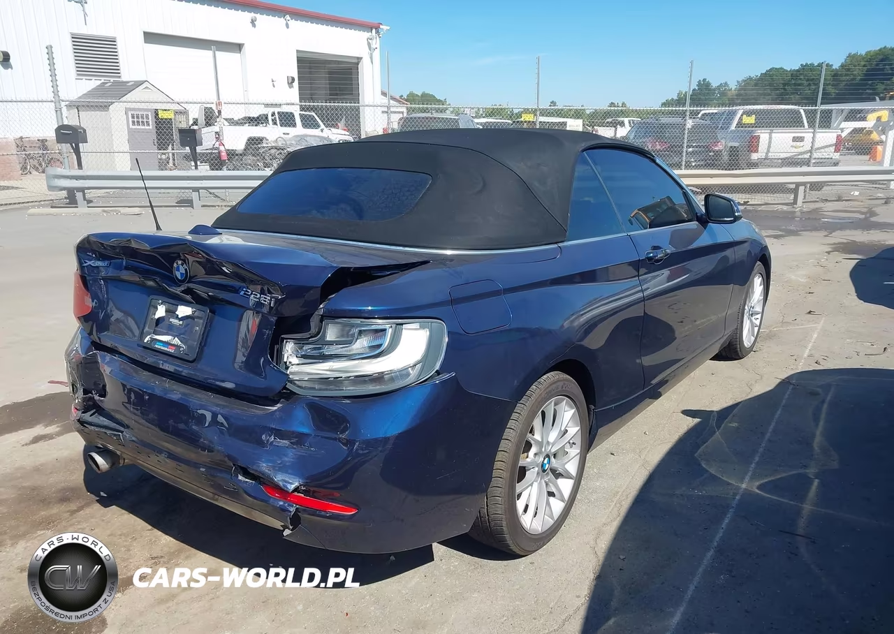 2016 BMW 228I xDrive VIN:WBA1L9C50GV324969 - 4