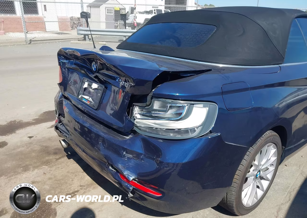 2016 BMW 228I xDrive VIN:WBA1L9C50GV324969 - 6