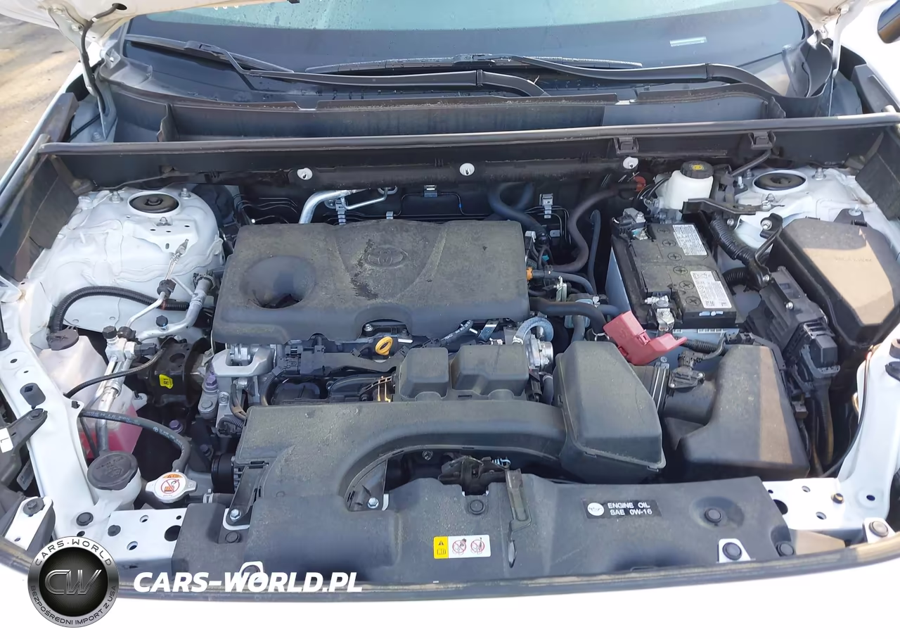 2023 Toyota Rav4 Xle VIN:2T3W1RFV0PC240588 - 10