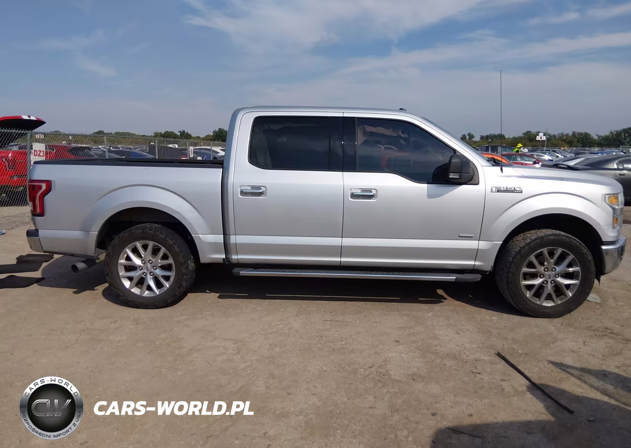 2015 Ford F-150 Xlt VIN:1FTEW1CPXFKE46981 - 13