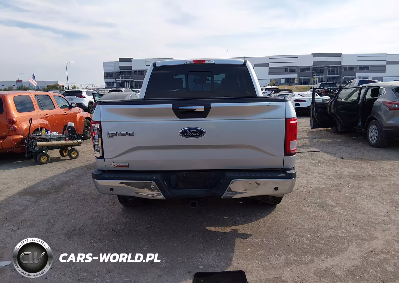 2015 Ford F-150 Xlt VIN:1FTEW1CPXFKE46981 - 16