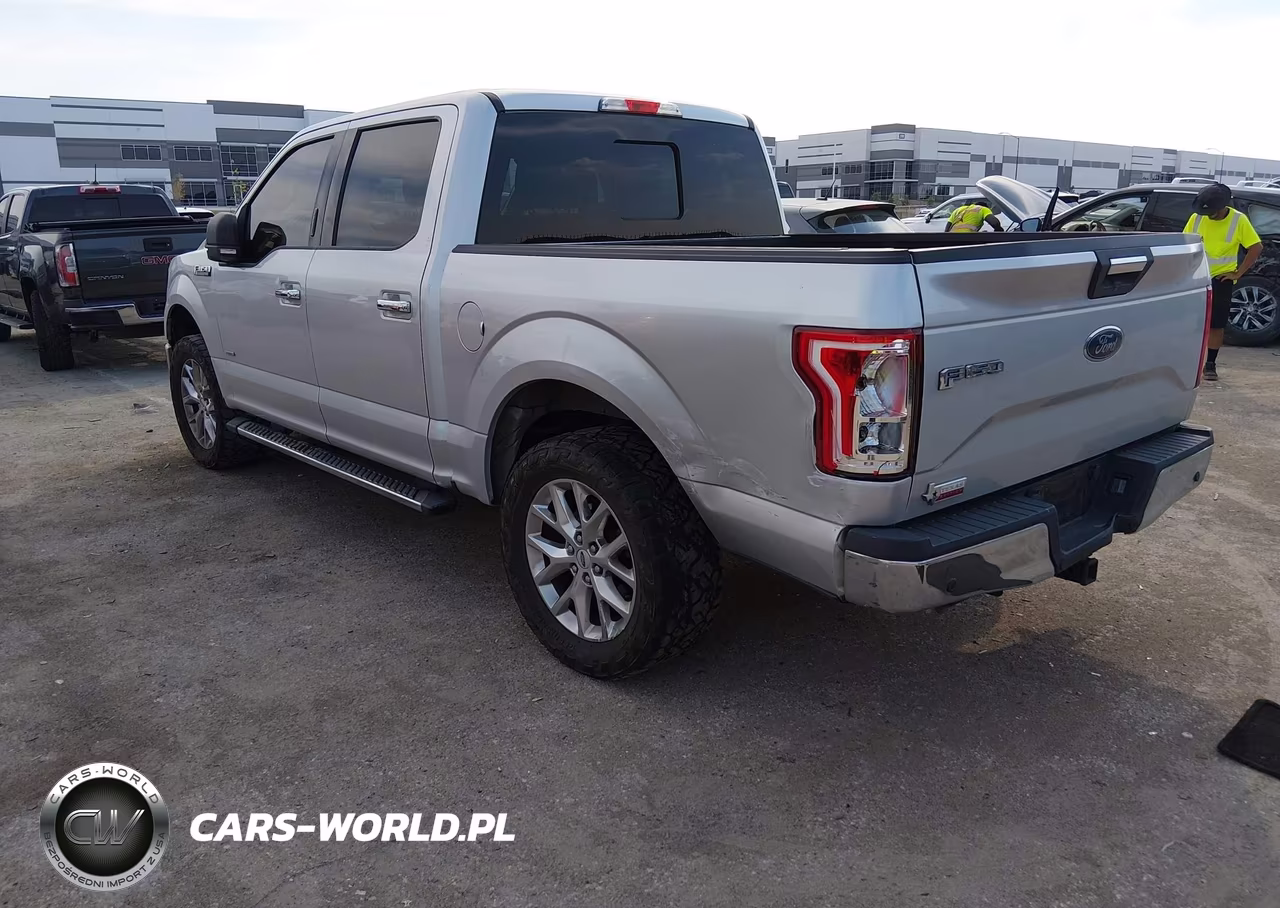 2015 Ford F-150 Xlt VIN:1FTEW1CPXFKE46981 - 3