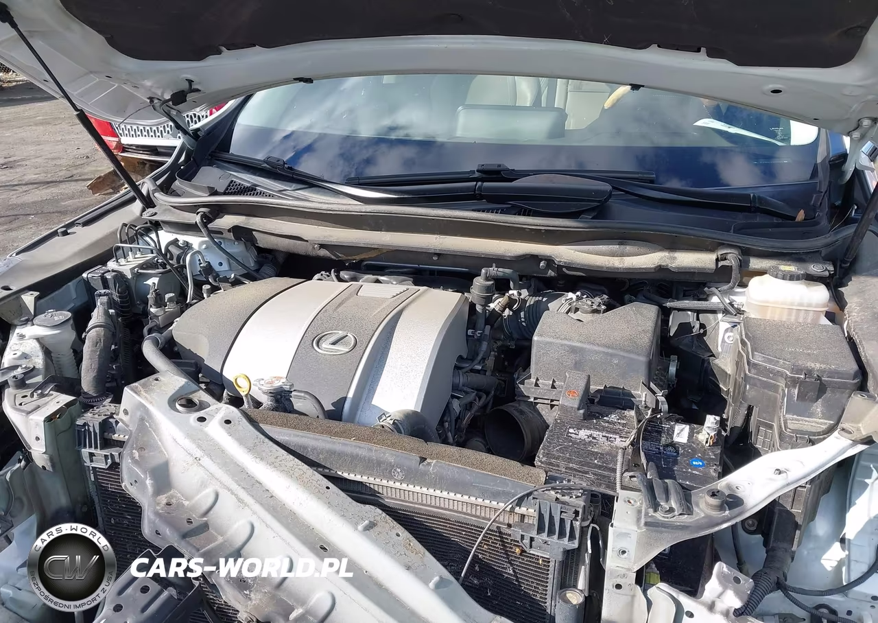 2019 Lexus Rx 350L Premium VIN:JTJGZKCA4K2011768 - 10