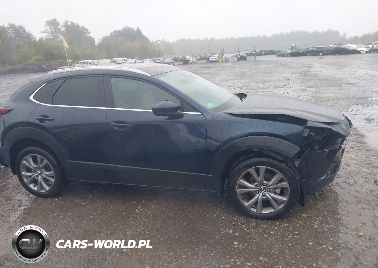 2025 Mazda Cx-30 2.5 S Preferred Package VIN:3MVDMBCM8SM783471 - 13