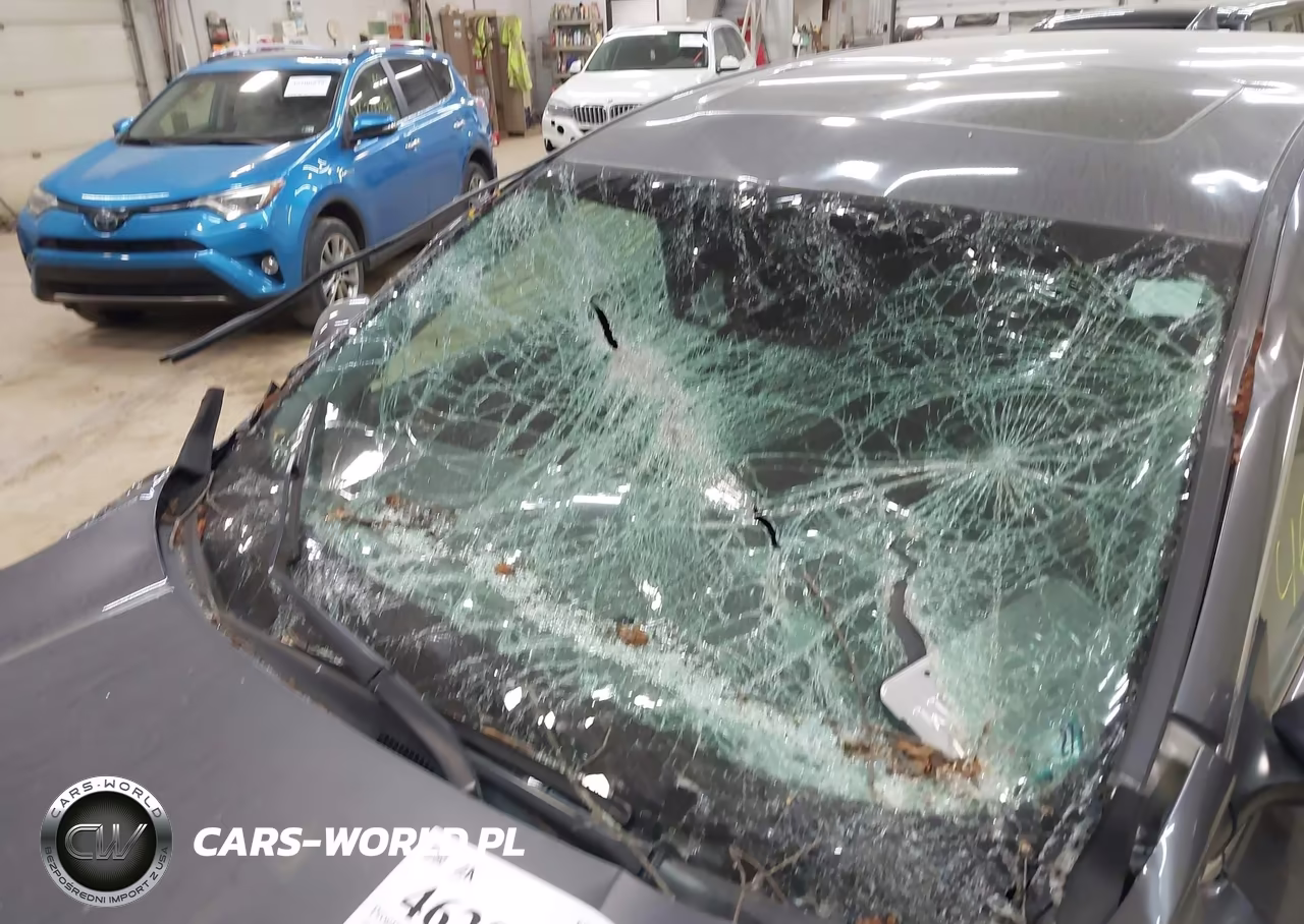 2019 Honda Cr-V Ex VIN:2HKRW2H51KH677971 - 17
