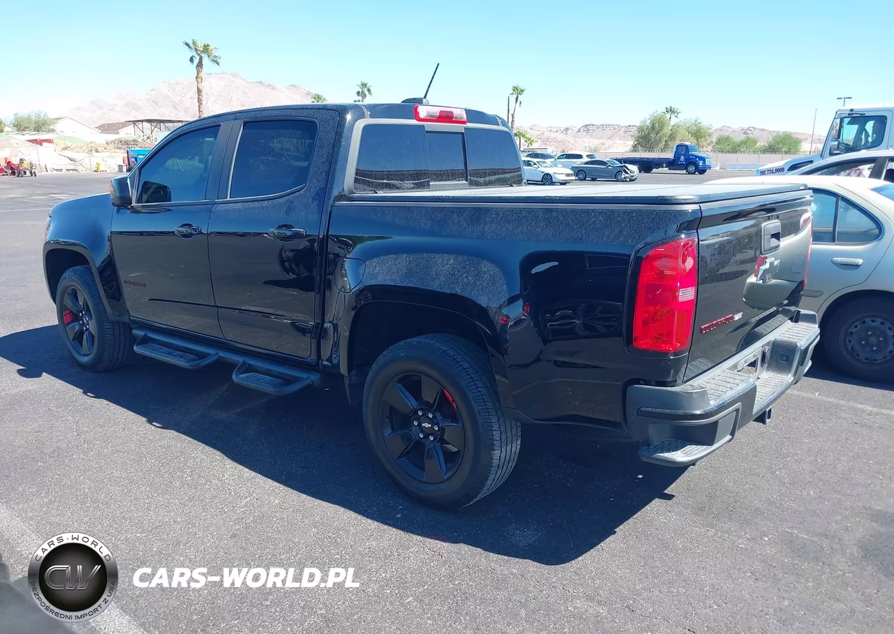 2019 Chevrolet Colorado Lt VIN:1GCGSCEN1K1104573 - 3