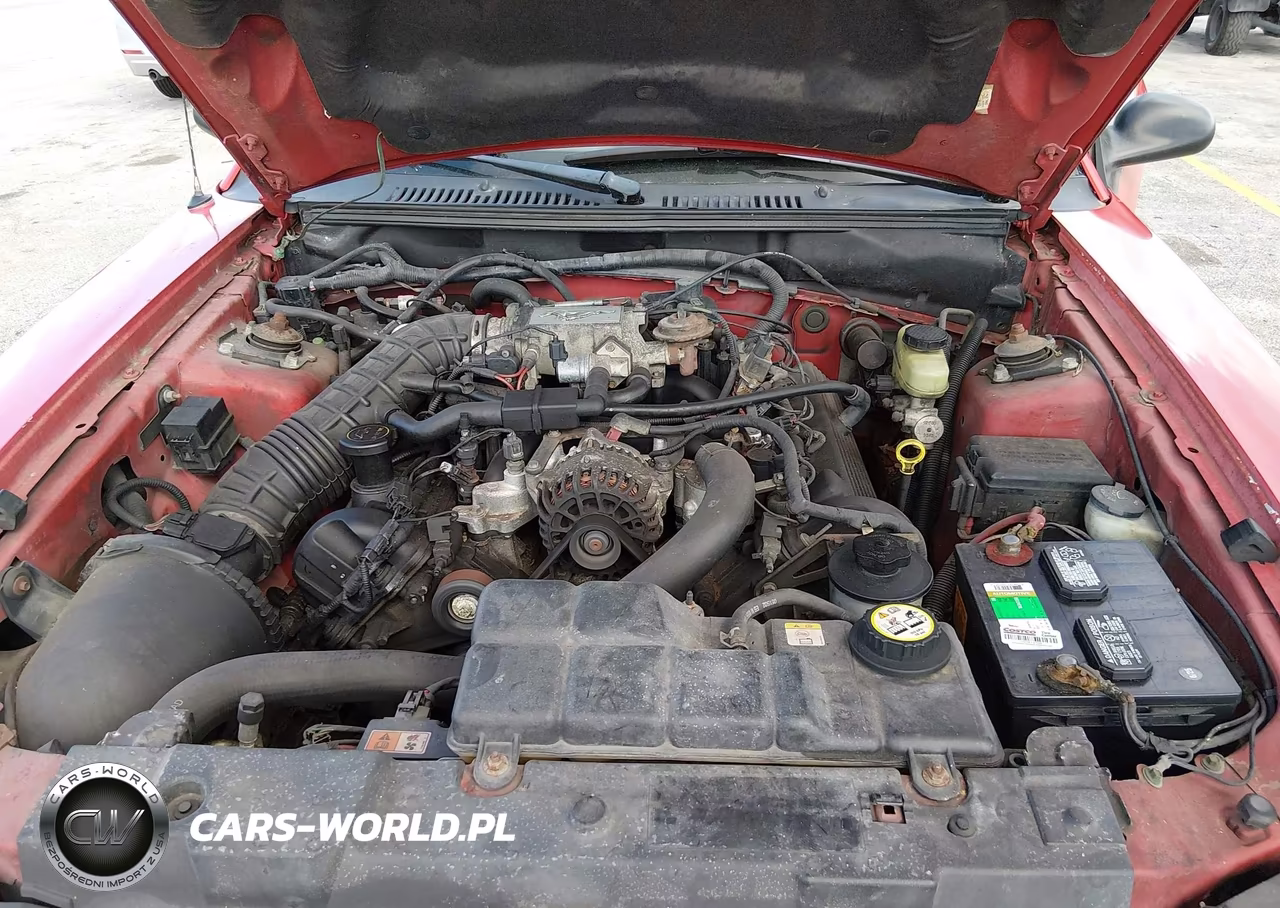 2003 Ford Mustang Gt VIN:1FAFP45XX3F339858 - 10