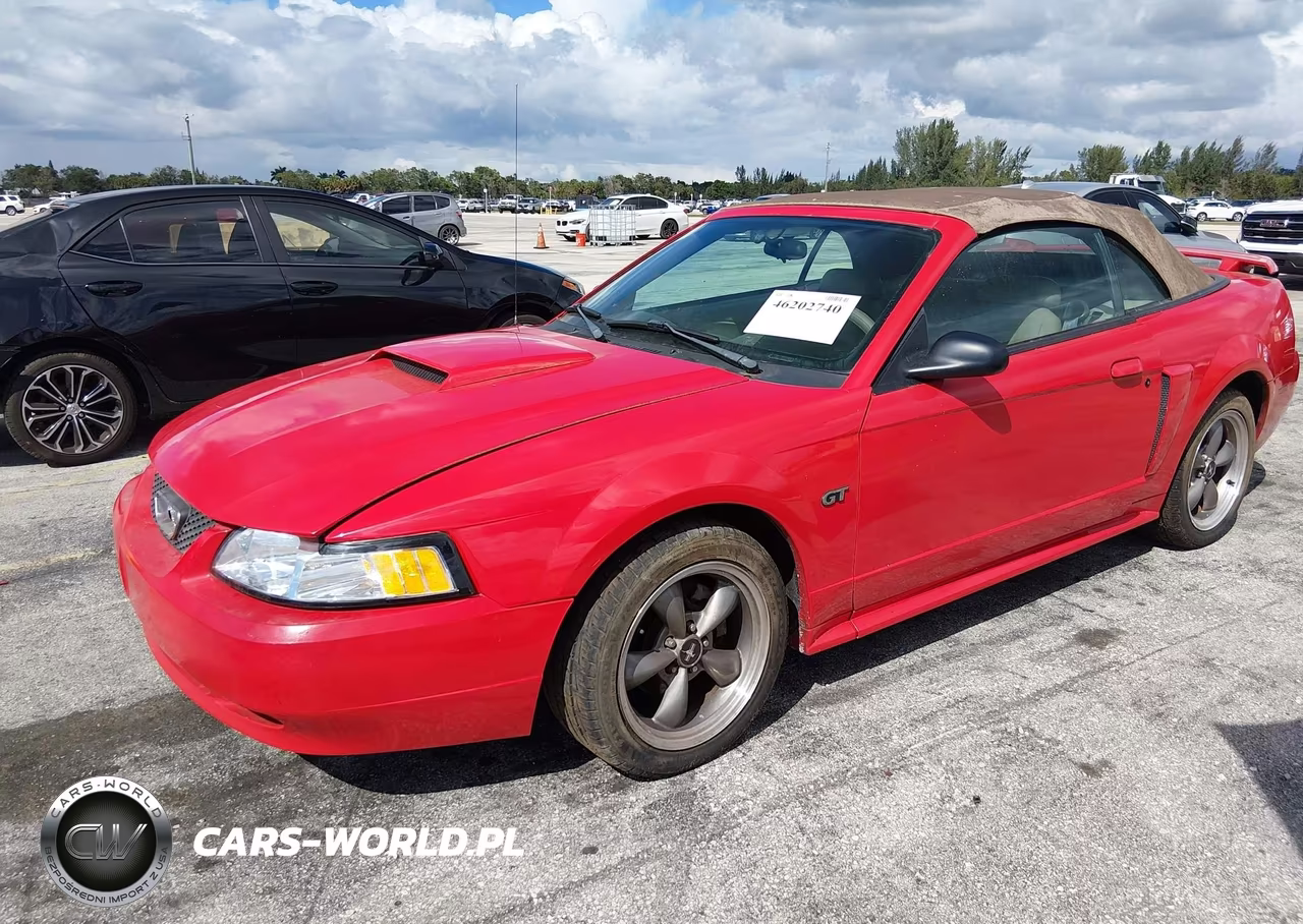2003 Ford Mustang Gt VIN:1FAFP45XX3F339858 - 2