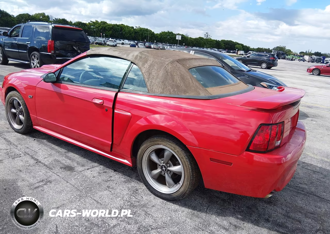 2003 Ford Mustang Gt VIN:1FAFP45XX3F339858 - 3