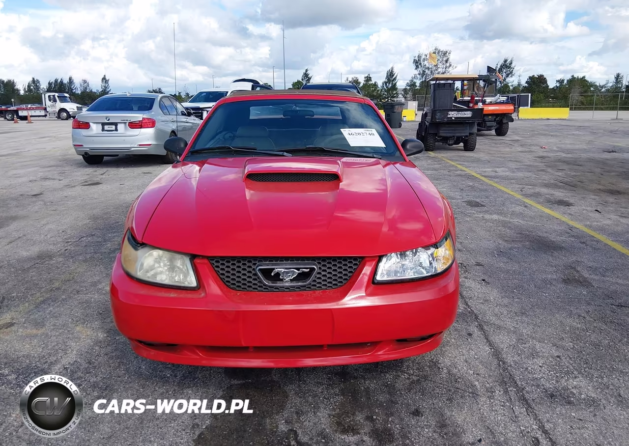 2003 Ford Mustang Gt VIN:1FAFP45XX3F339858 - 6