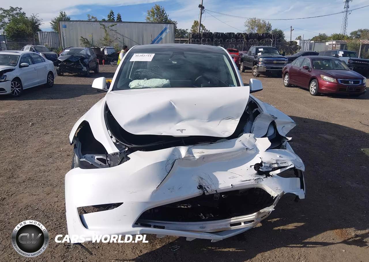 2024 Tesla Model Y Long Range Dual Motor All-Wheel Drive VIN:7SAYGDEE3RA262202 - 12