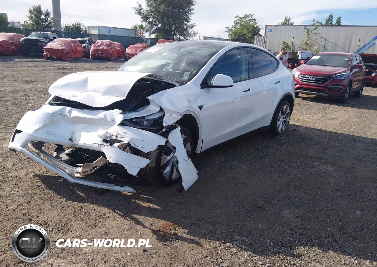 2024 Tesla Model Y Long Range Dual Motor All-Wheel Drive VIN:7SAYGDEE3RA262202 - 2