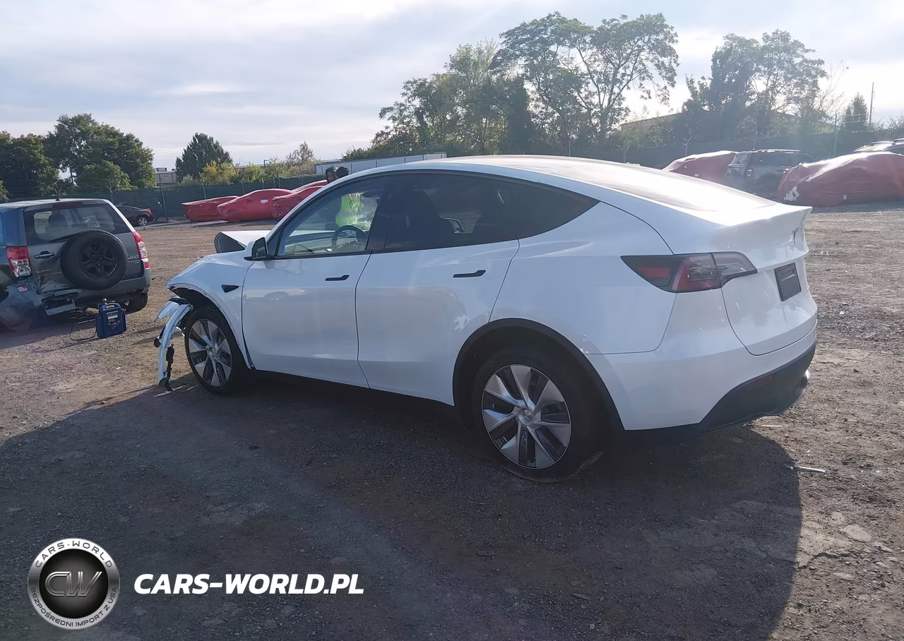 2024 Tesla Model Y Long Range Dual Motor All-Wheel Drive VIN:7SAYGDEE3RA262202 - 3
