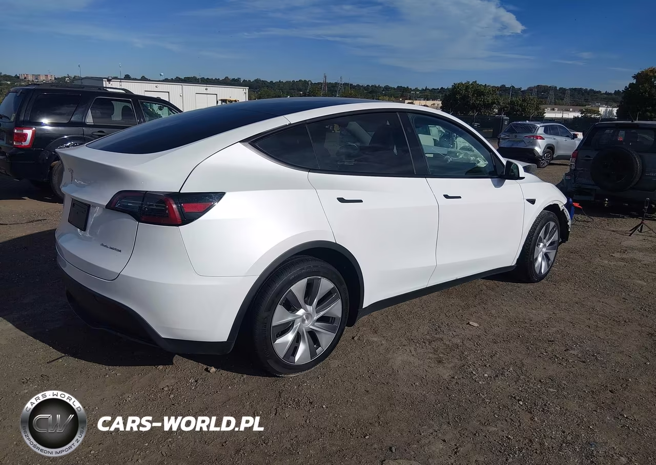 2024 Tesla Model Y Long Range Dual Motor All-Wheel Drive VIN:7SAYGDEE3RA262202 - 4