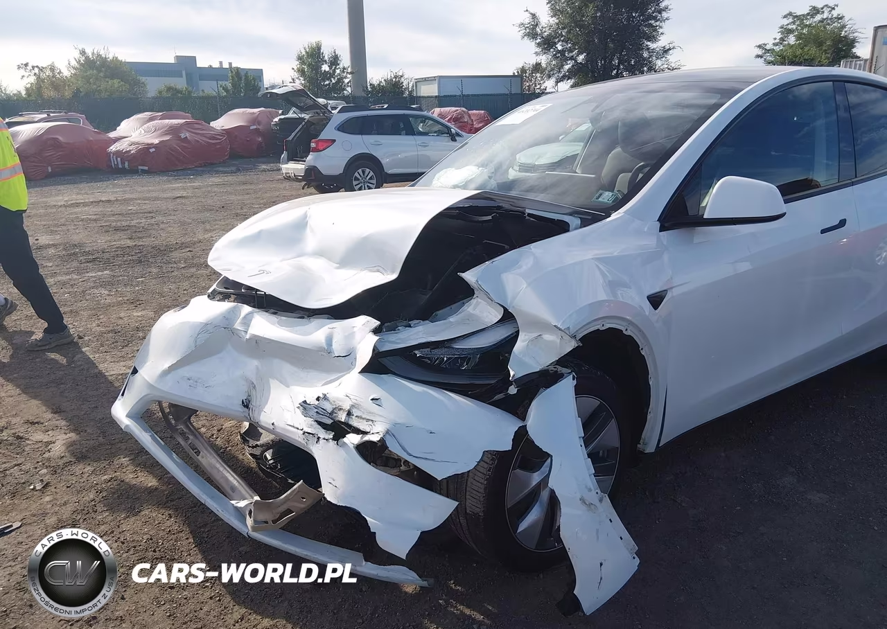 2024 Tesla Model Y Long Range Dual Motor All-Wheel Drive VIN:7SAYGDEE3RA262202 - 6