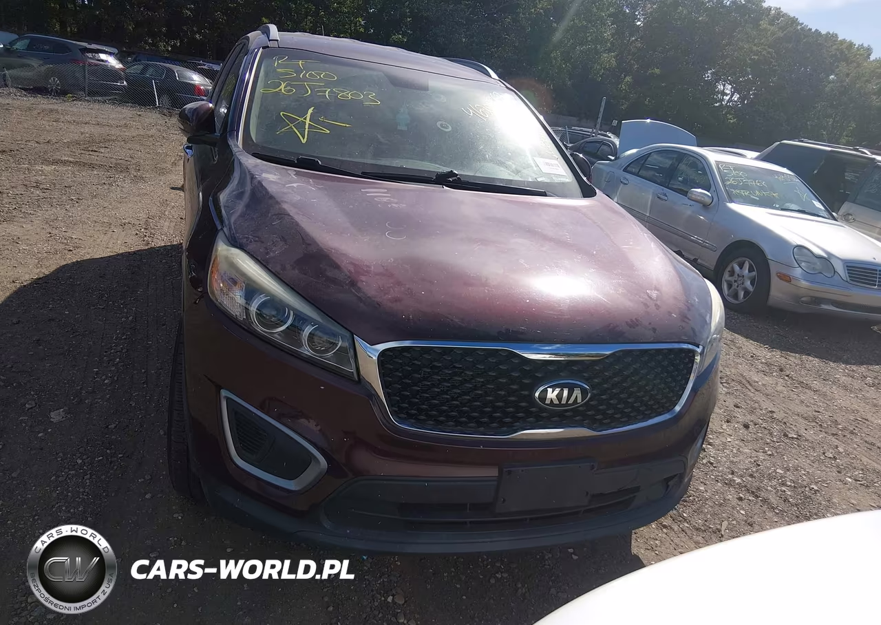 2017 Kia Sorento 3.3L Lx VIN:5XYPGDA55HG282248 - 11