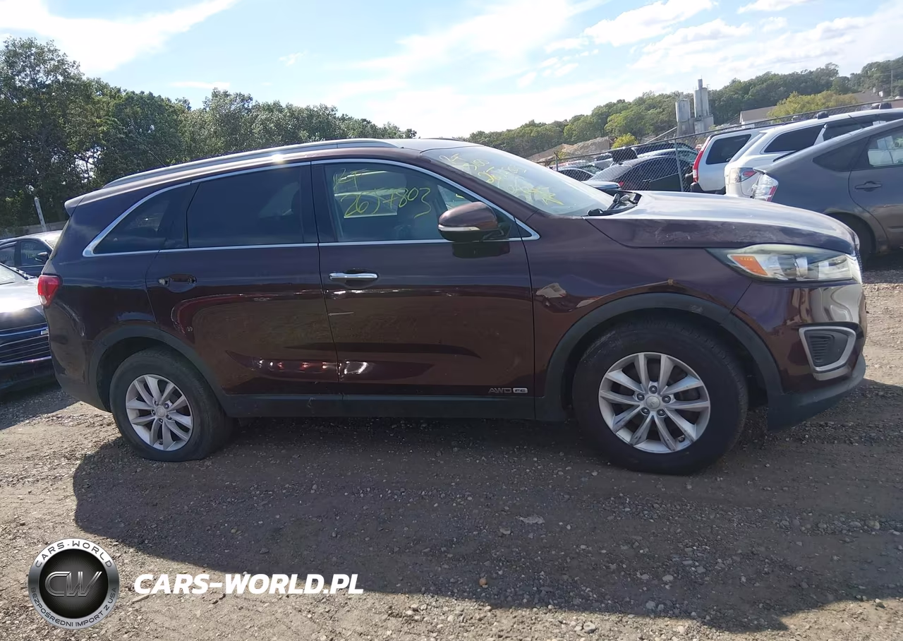 2017 Kia Sorento 3.3L Lx VIN:5XYPGDA55HG282248 - 12