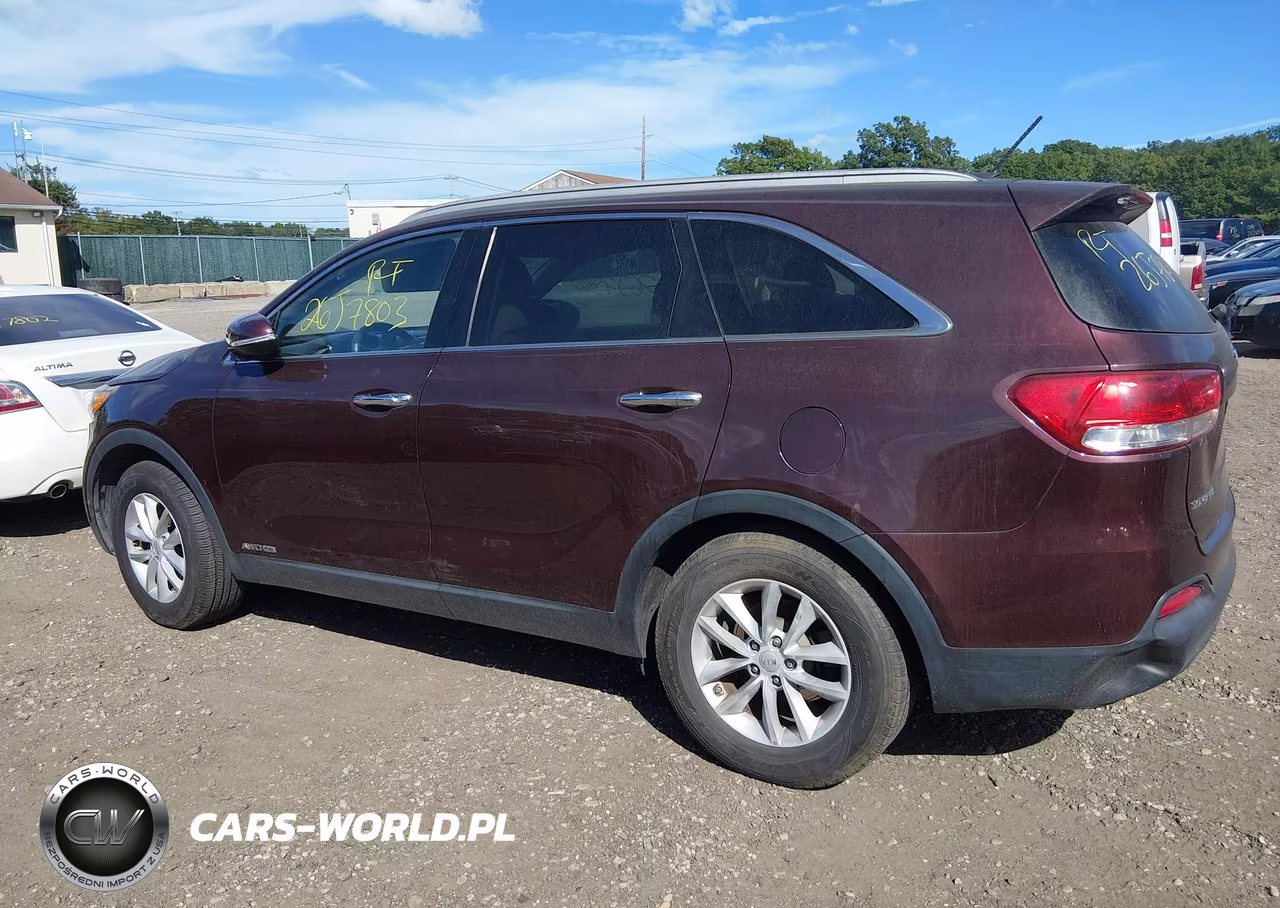 2017 Kia Sorento 3.3L Lx VIN:5XYPGDA55HG282248 - 13