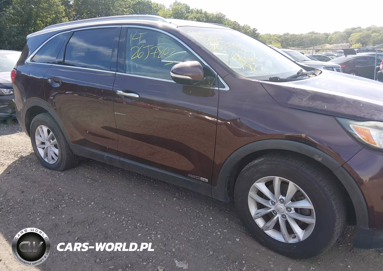 2017 Kia Sorento 3.3L Lx VIN:5XYPGDA55HG282248 - 6