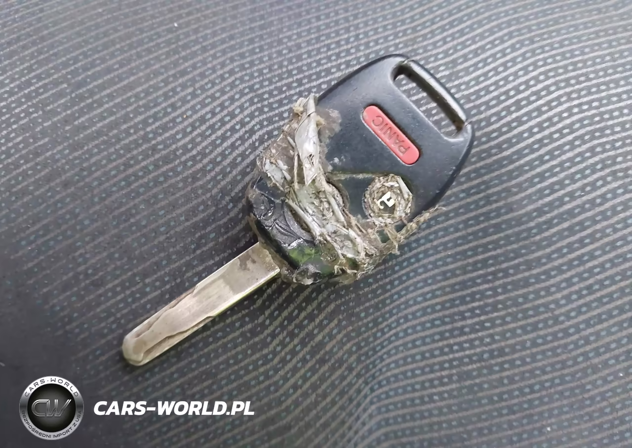 2009 Honda Fit Sport VIN:JHMGE884X9S047039 - 11