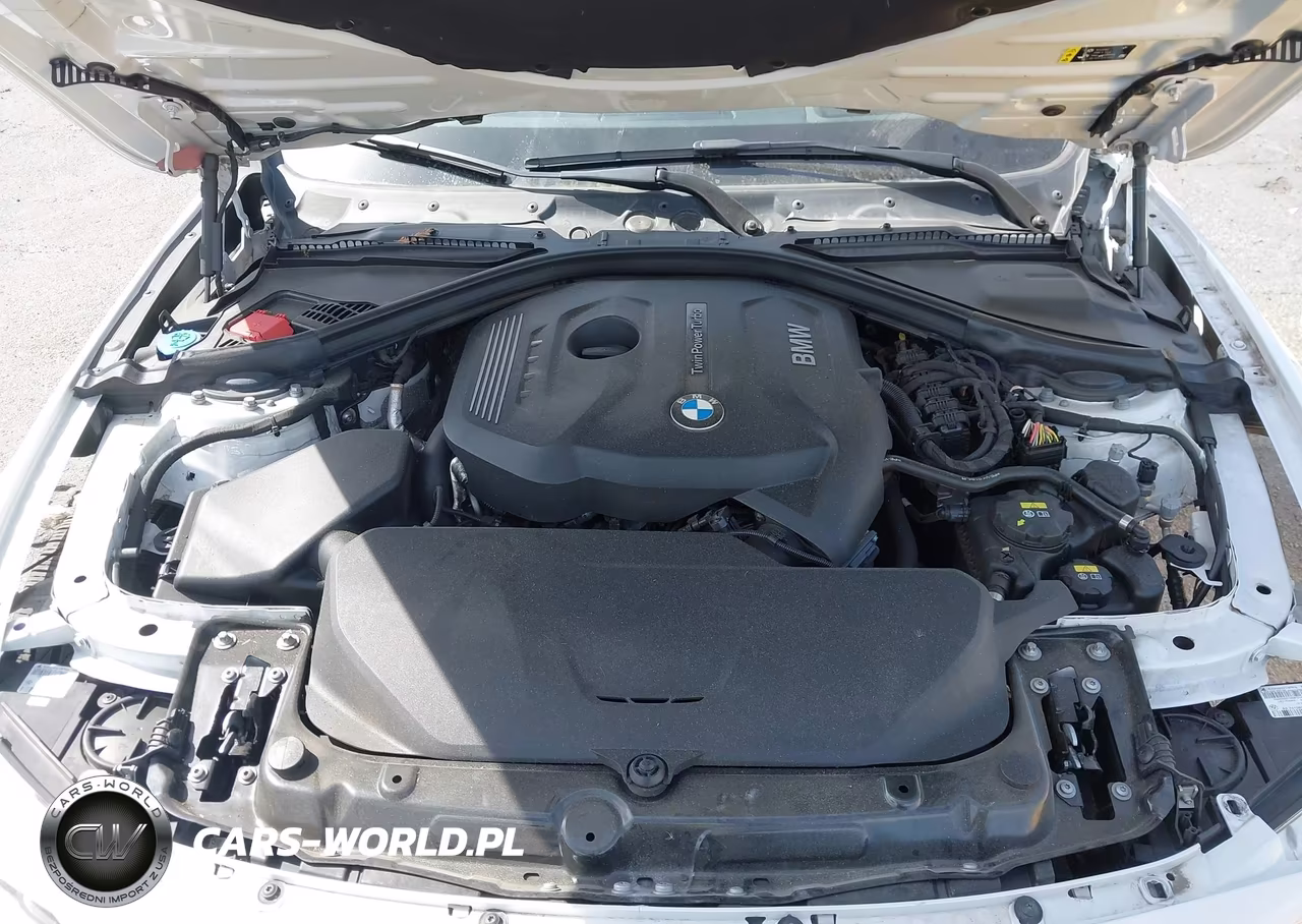 2017 BMW 430I Gran Coupe xDrive VIN:WBA4F9C33HG812449 - 10