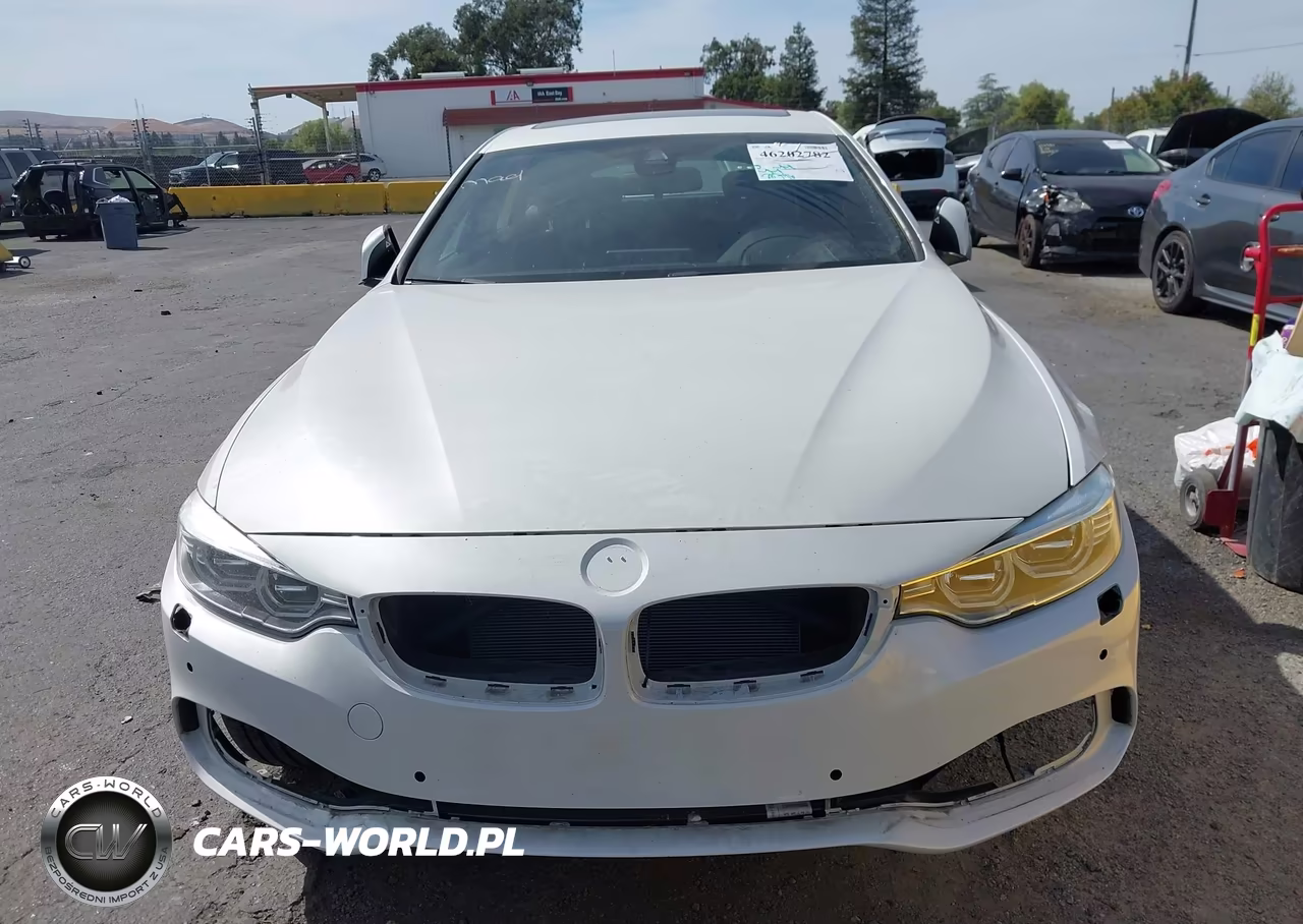 2017 BMW 430I Gran Coupe xDrive VIN:WBA4F9C33HG812449 - 13
