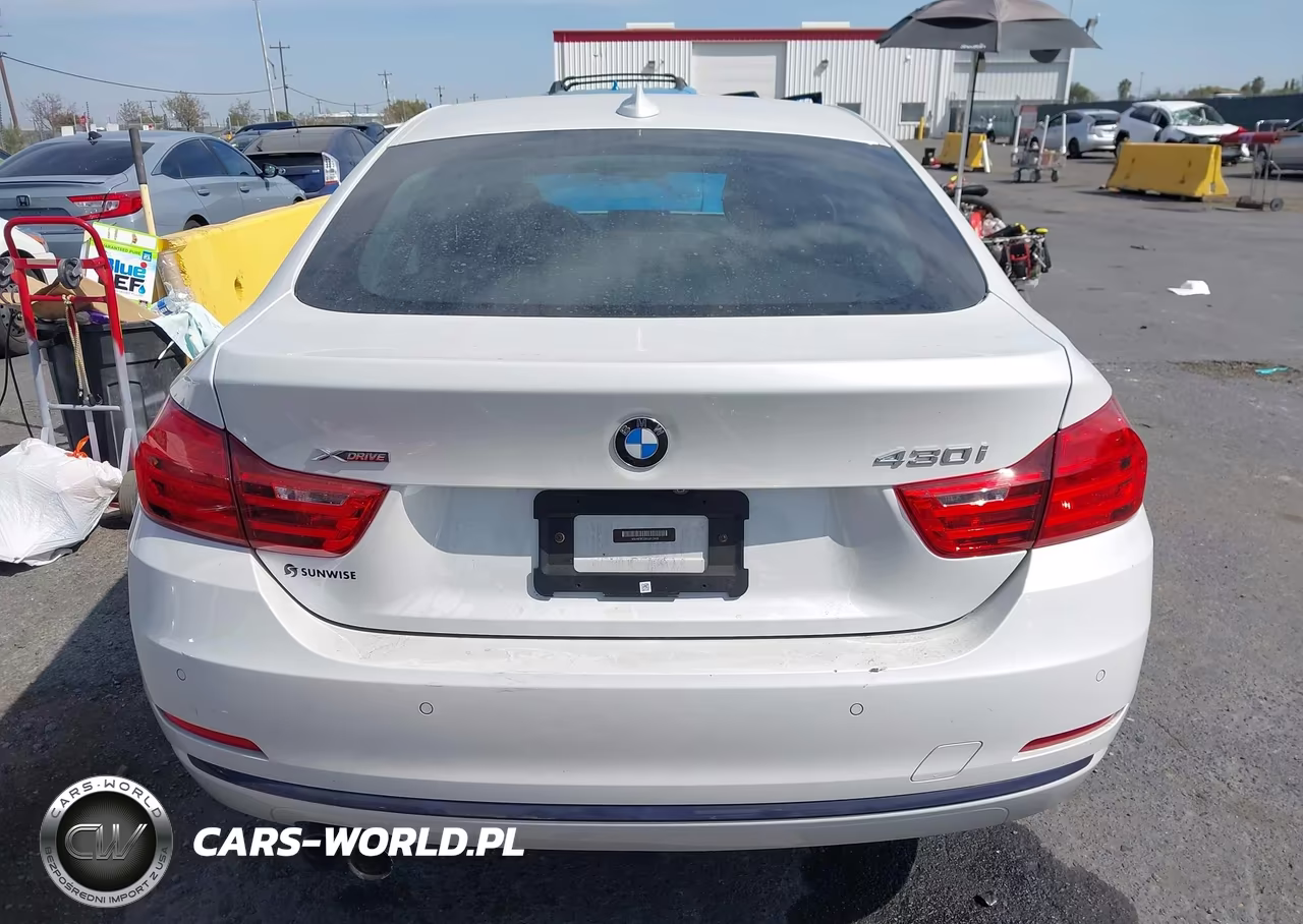 2017 BMW 430I Gran Coupe xDrive VIN:WBA4F9C33HG812449 - 17