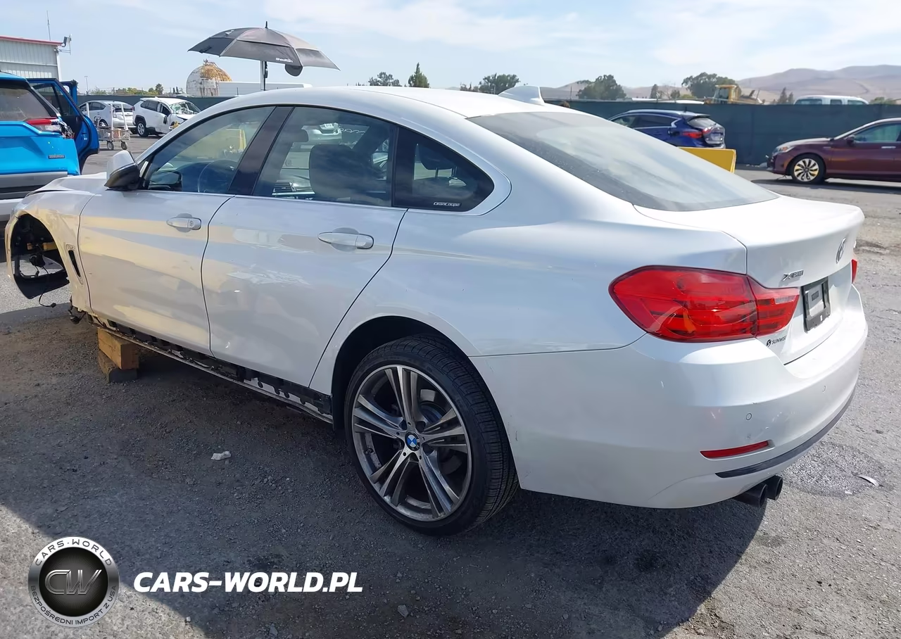 2017 BMW 430I Gran Coupe xDrive VIN:WBA4F9C33HG812449 - 3