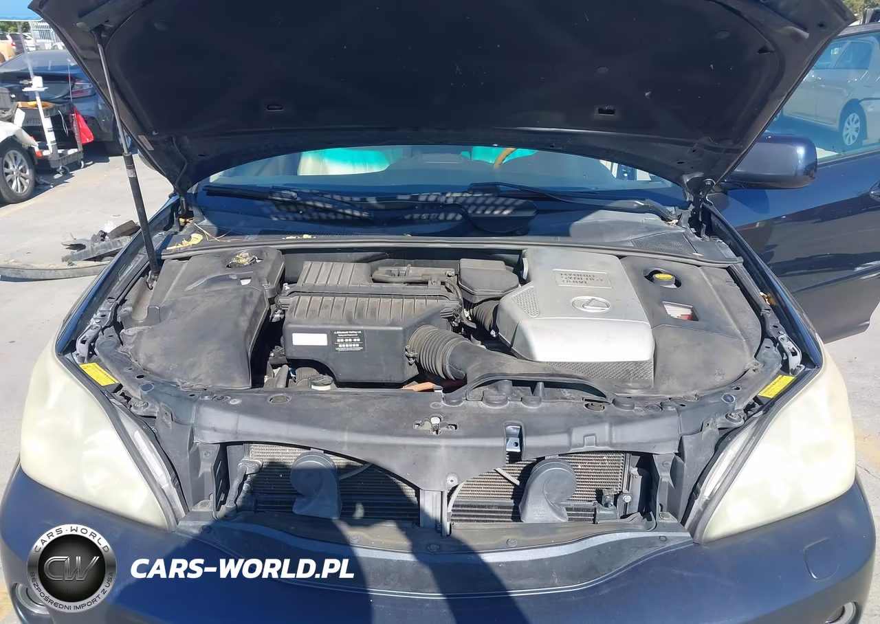 2006 Lexus Rx 400H VIN:JTJHW31UX60036482 - 10