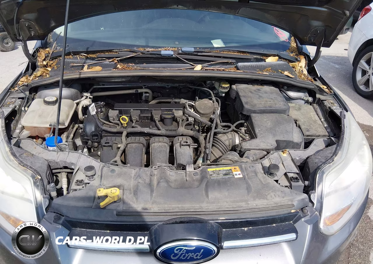 2012 Ford Focus Sel VIN:1FAHP3M21CL466489 - 10