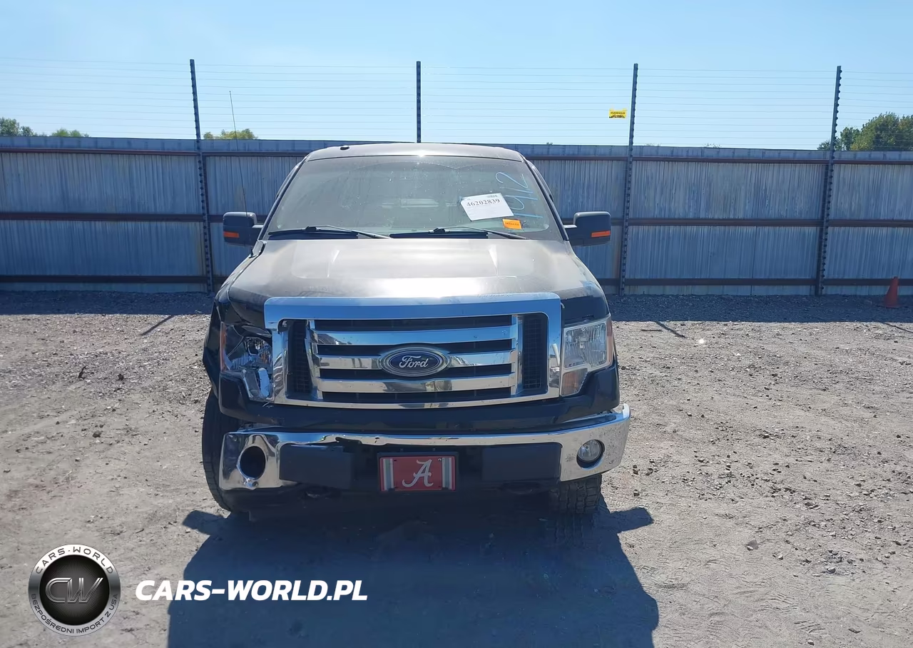 2010 Ford F-150 Fx4-Harley-Davidson-King Ranch-Lariat-Platinum-Xl-Xlt VIN:1FTFW1EV7AFB35946 - 12