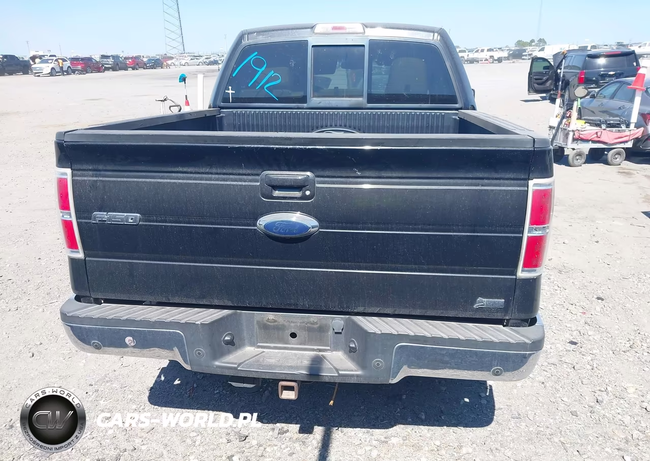 2010 Ford F-150 Fx4-Harley-Davidson-King Ranch-Lariat-Platinum-Xl-Xlt VIN:1FTFW1EV7AFB35946 - 16