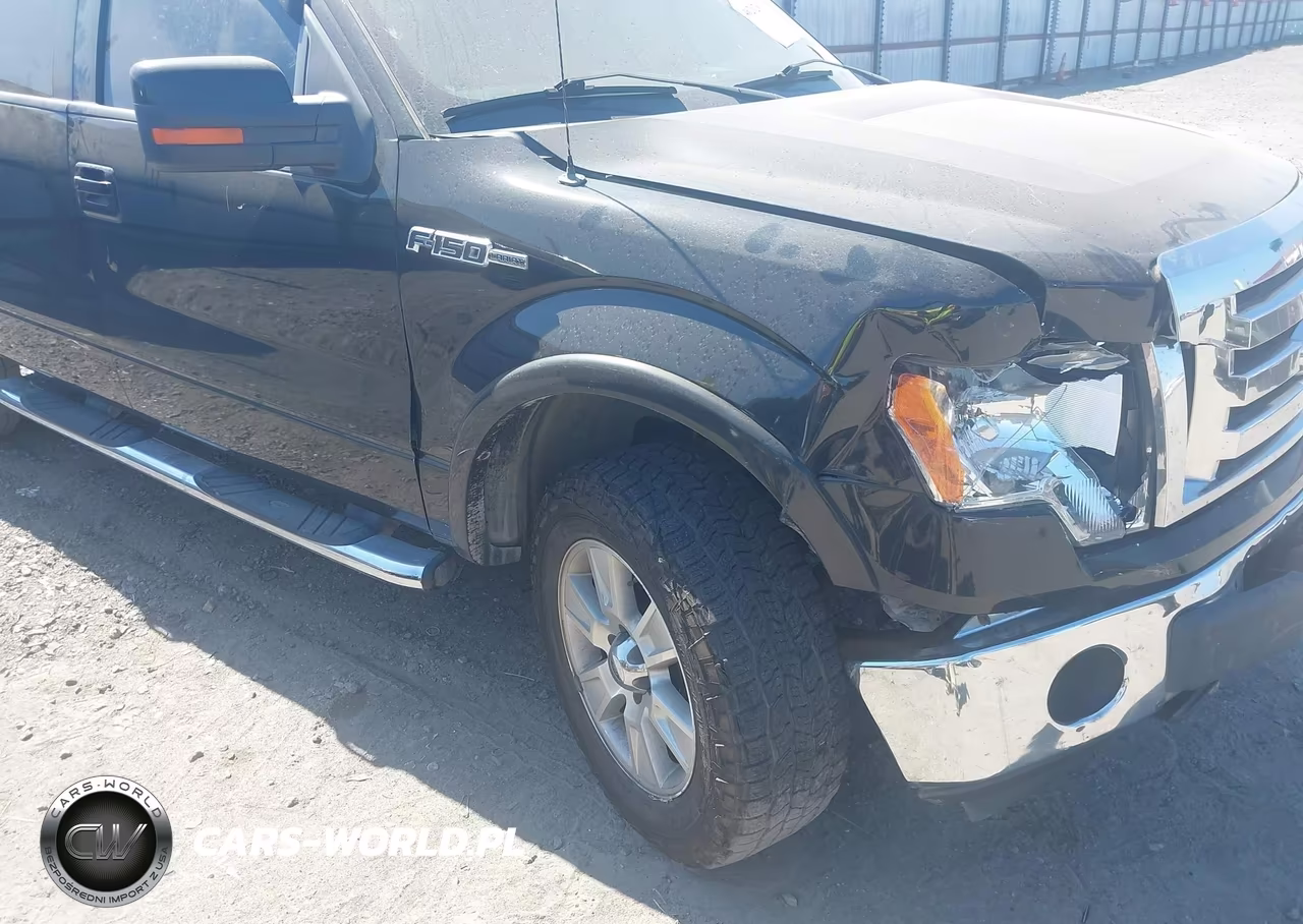 2010 Ford F-150 Fx4-Harley-Davidson-King Ranch-Lariat-Platinum-Xl-Xlt VIN:1FTFW1EV7AFB35946 - 18