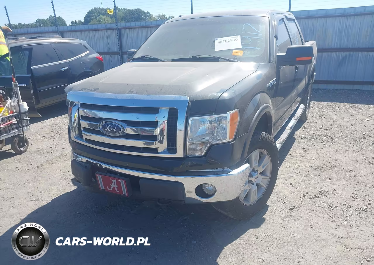 2010 Ford F-150 Fx4-Harley-Davidson-King Ranch-Lariat-Platinum-Xl-Xlt VIN:1FTFW1EV7AFB35946 - 19