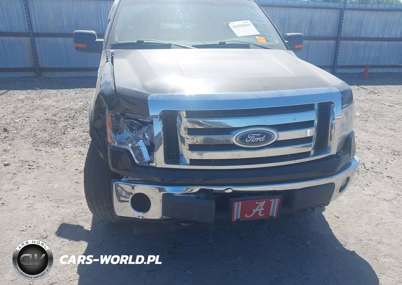 2010 Ford F-150 Fx4-Harley-Davidson-King Ranch-Lariat-Platinum-Xl-Xlt VIN:1FTFW1EV7AFB35946 - 6