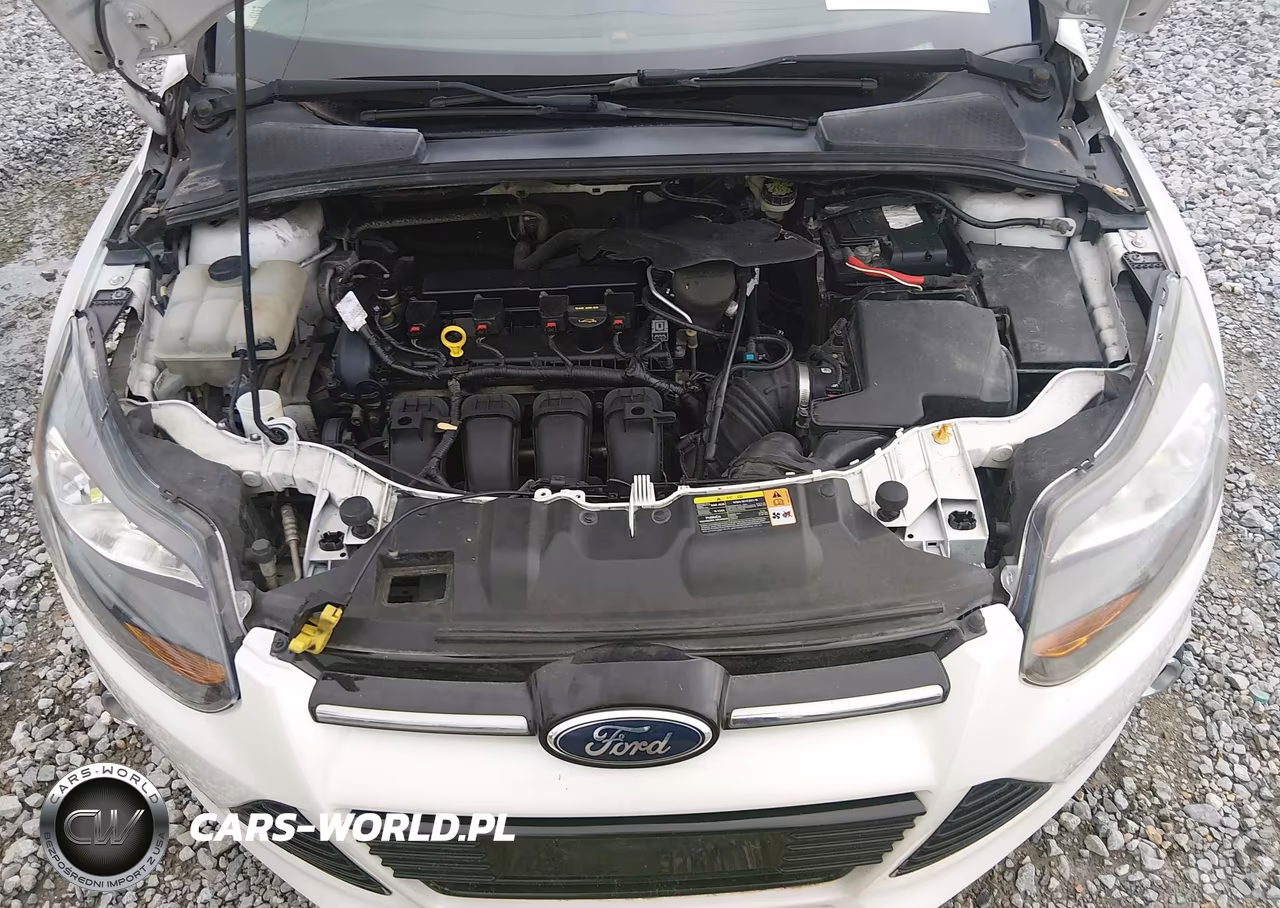 2014 Ford Focus Titanium VIN:1FADP3N27EL208705 - 10