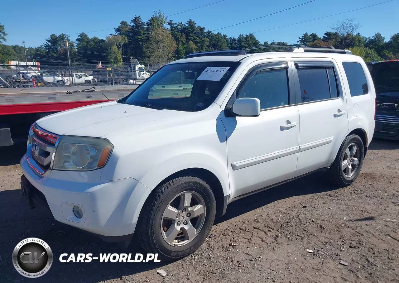 2009 Honda Pilot Ex-L VIN:5FNYF48629B041925 - 2