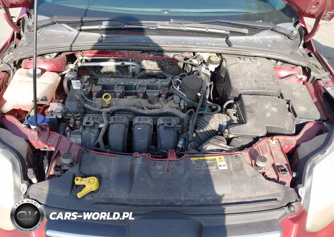 2014 Ford Focus Se VIN:1FADP3F29EL131950 - 10
